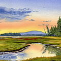 Maine Marsh Sunrise